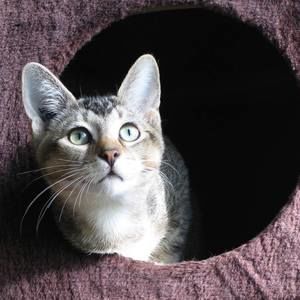 Meet your Posher, Sharin